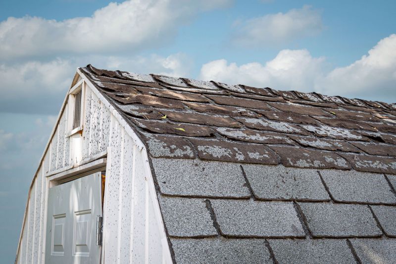Roof Maintenance Tips